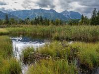 25 Moor Erlebnis Pfad - Inzell